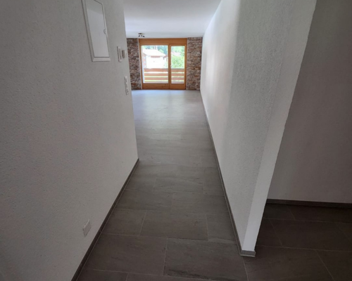 Slikopleskarska in mavčarska dela